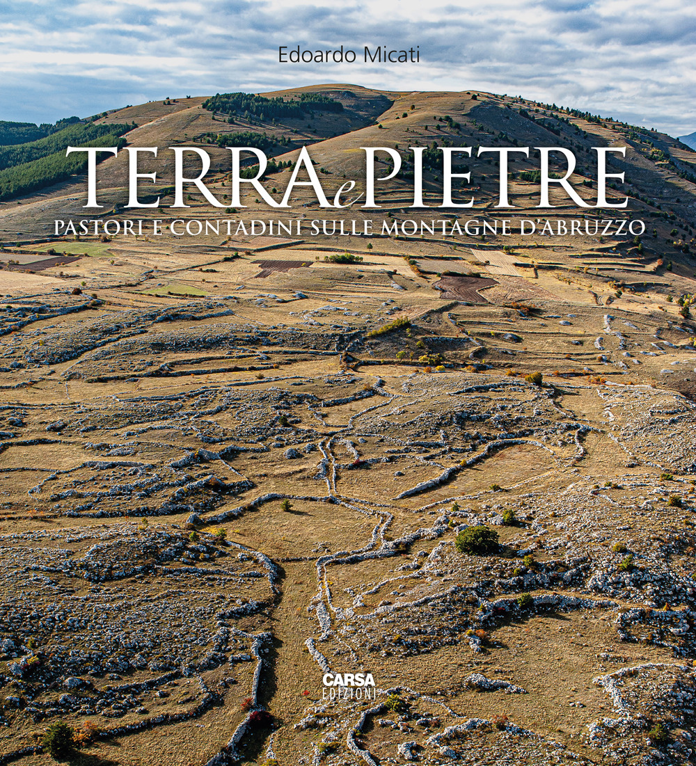 copertina_libro_isbn_9788850104437