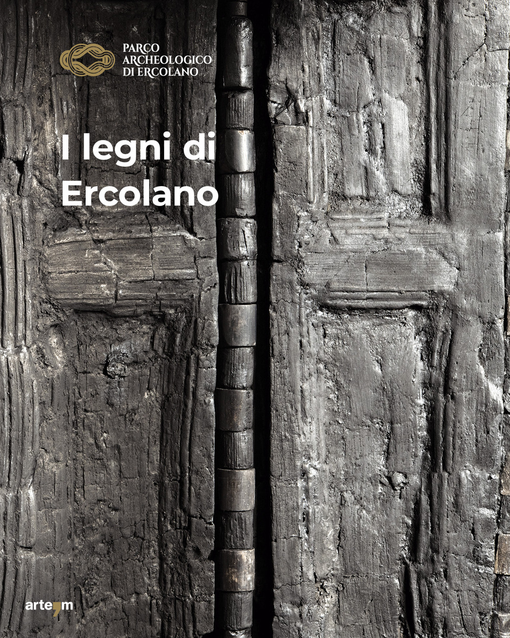 copertina_libro_isbn_9788856910124