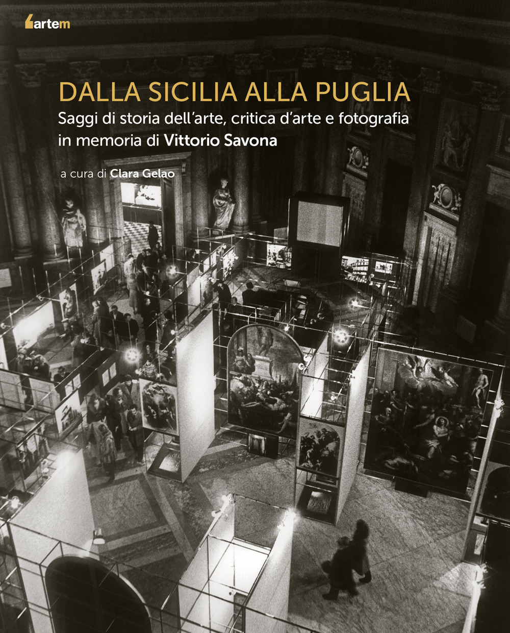 copertina_libro_isbn_9788856910438