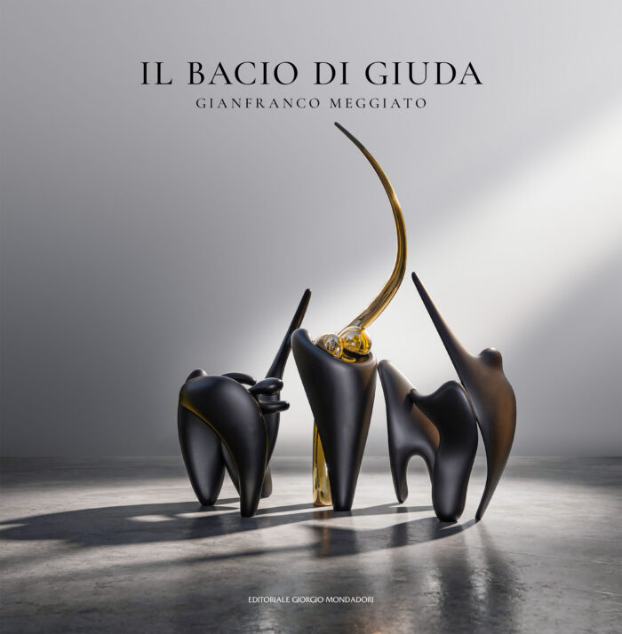 copertina_libro_isbn_9788837424732