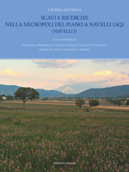 copertina_libro_isbn_9788854917460