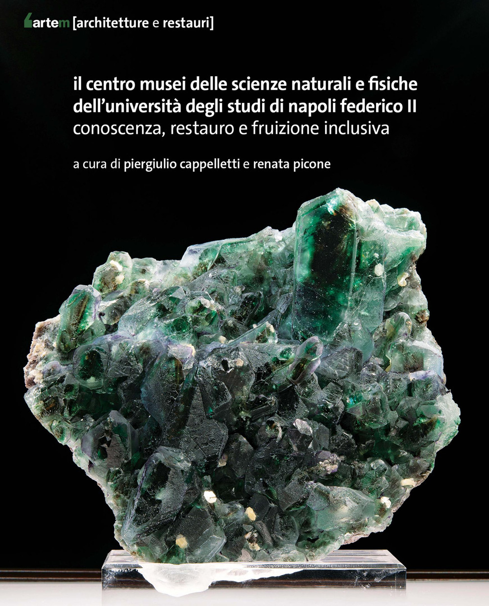 copertina_libro_isbn_9788856910629