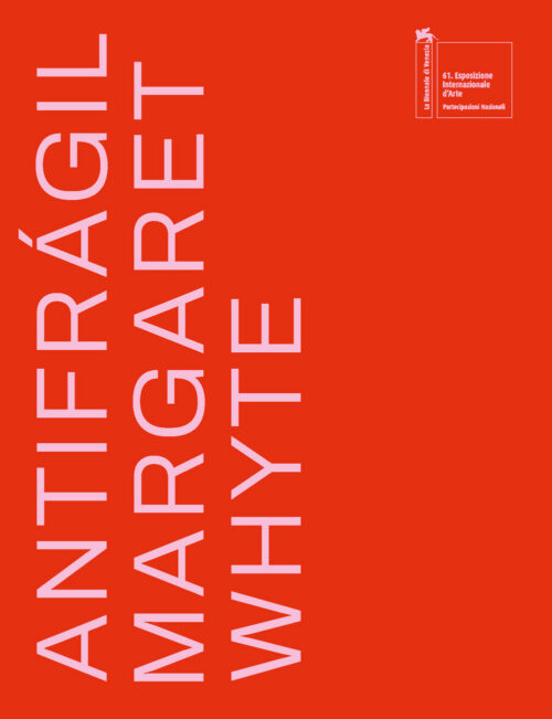 copertina_libro_isbn_9788867265466