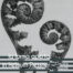 copertina_libro_isbn_9791254778418