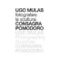 copertina_libro_isbn_9788842228363