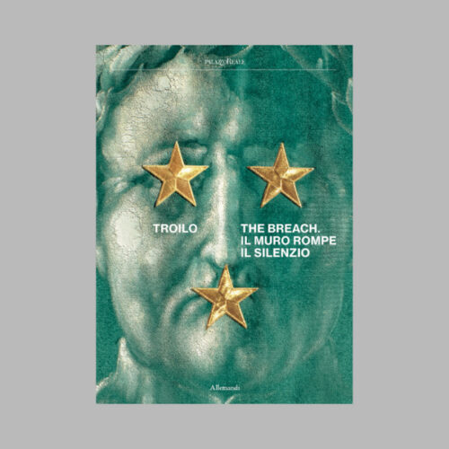 copertina_libro_isbn_9788842228950