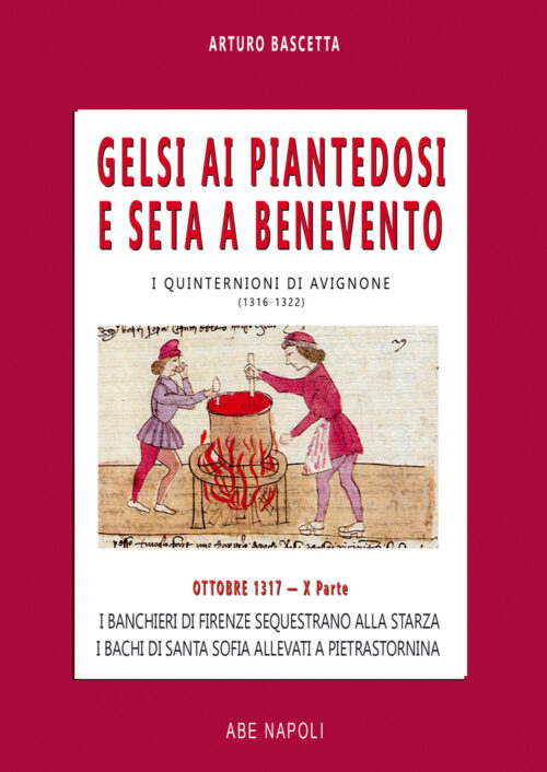 copertina_libro_isbn_9788872973158