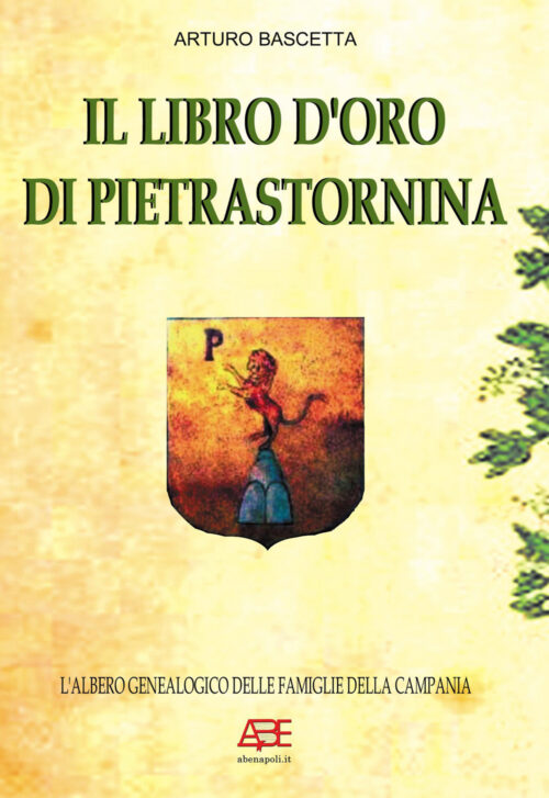 copertina_libro_isbn_9788872973264